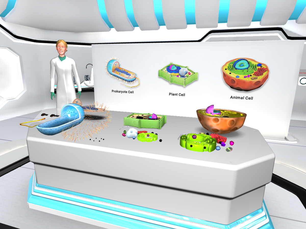Cell Structure Experiment