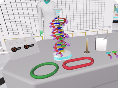 DNA Yapısı