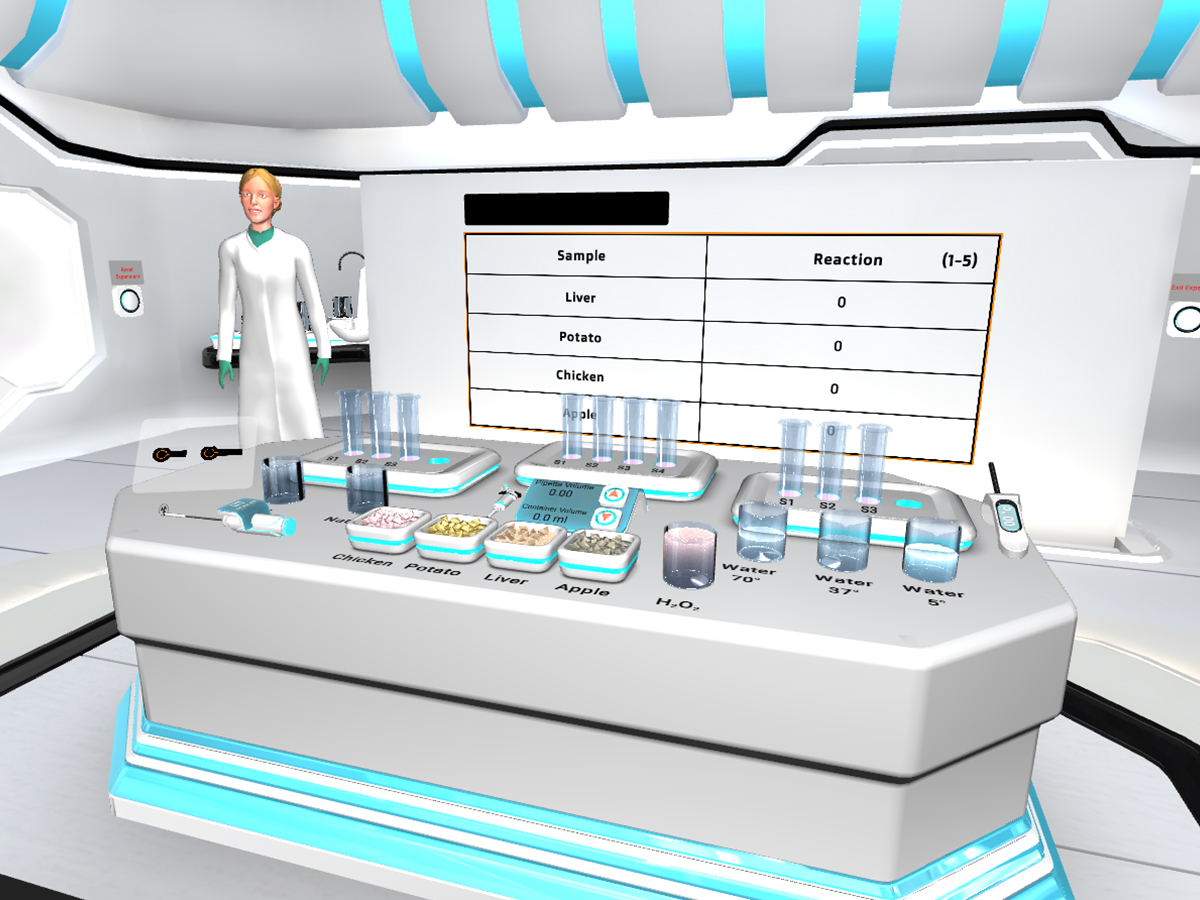 Enzymes Experiment