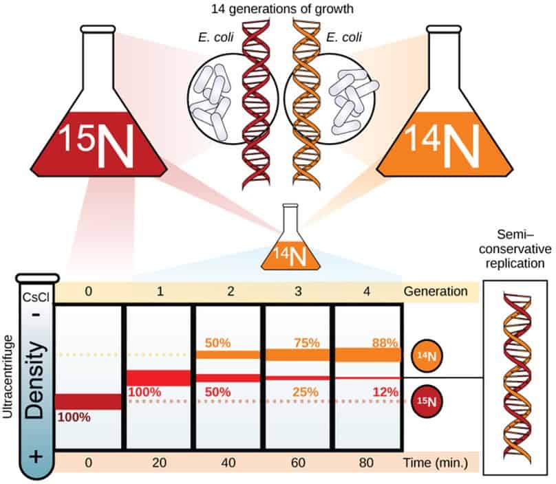 Experimentos que cambiaron el mundo